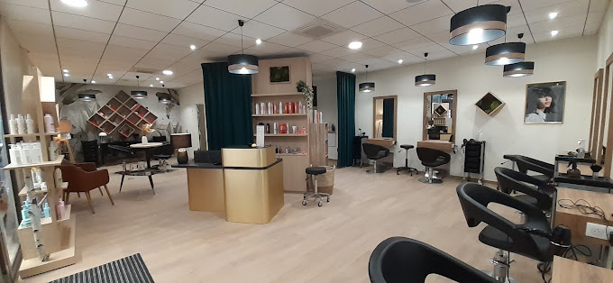 salon jacques alexis issoire 1